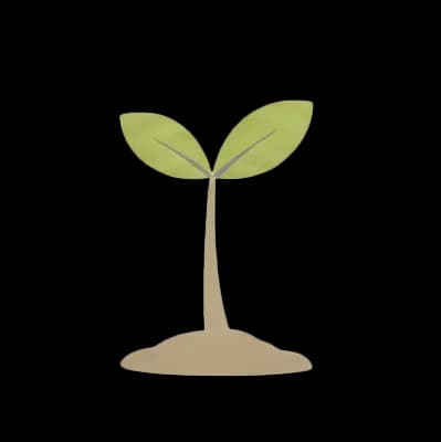 AI model analyzing name patterns and cultural origins